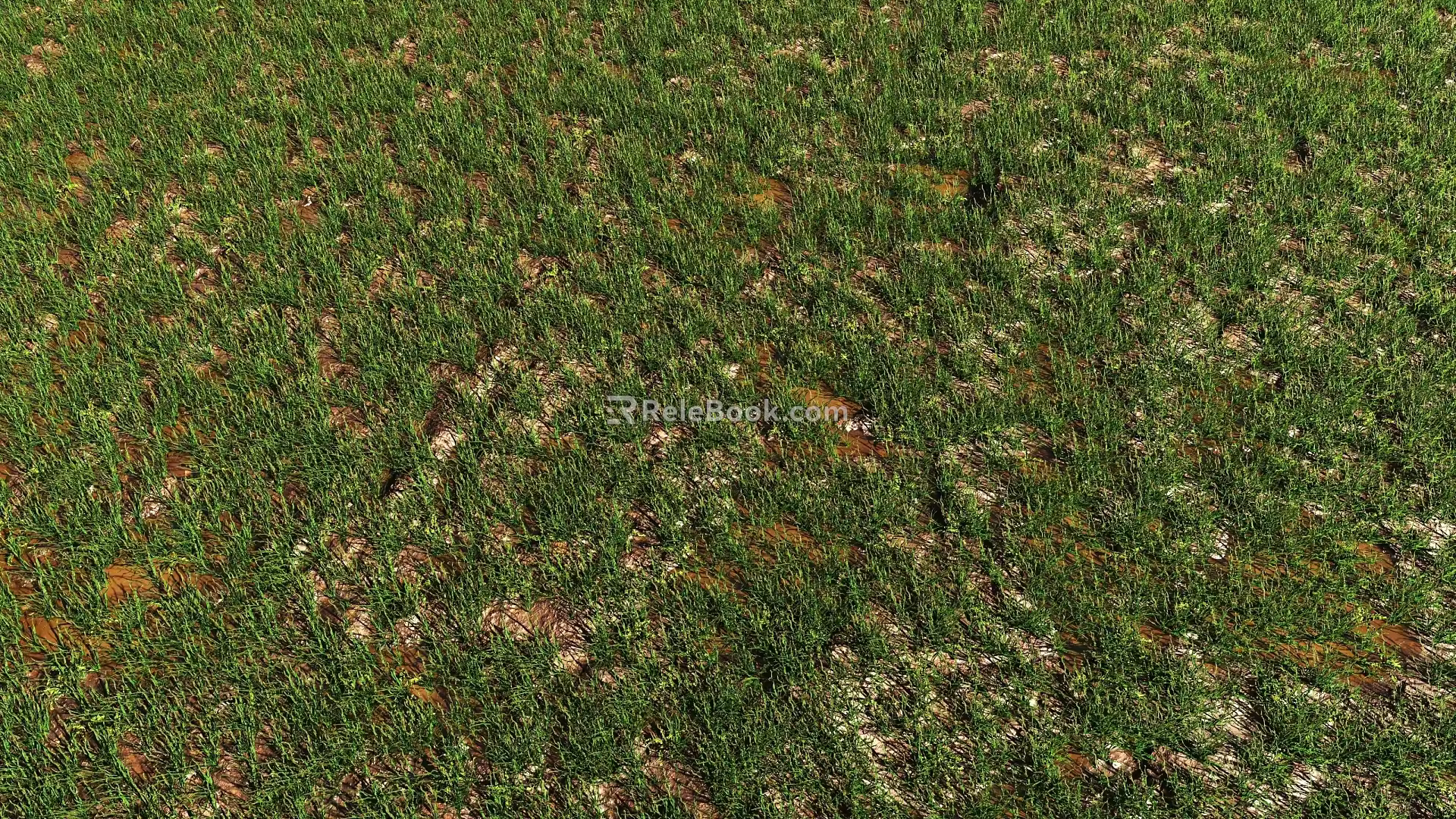 grass lawn turf grass 3d model