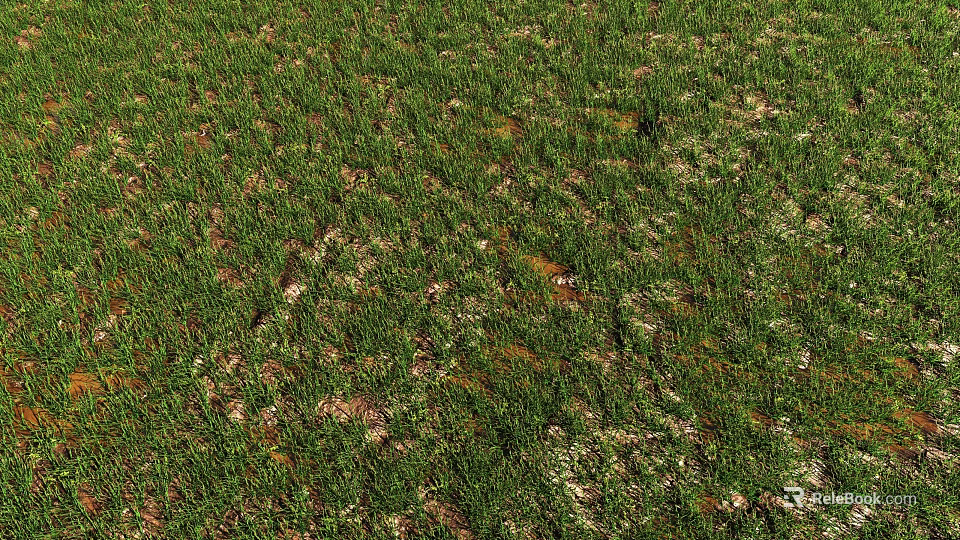 Green Grass Field With Visible Brown Patches And Exposed Soil Areas 3d model 