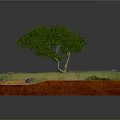 Realistic Landscape Model With Green Tree Grass Stones And Red Base