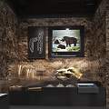 Museum Exhibition Hall Interior Featuring Glass Display Cases And Wall Exhibits