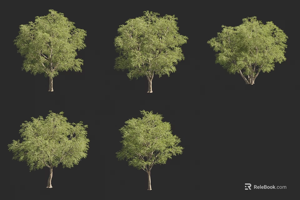 Various Arbor Trees with Different Foliage Shapes and Trunk Structures for Design Projects 3d model