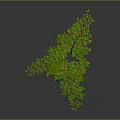 3D Rendered Lush Green Plant With Yellow Red Edges Slender Stems Grey Background Reflection