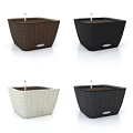 Lush Green Indoor Potted Fern Plants with Wicker Baskets and Black Pots