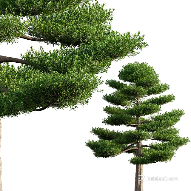 Lush Arbor Tree With Dense Green Foliage And Graceful Branch Structure 3d model 