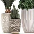 Modern Garden Decor Elements With Geometric Patterned Planters And Assorted Green Foliage Plants