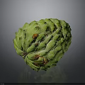 Fresh Green Sugar Apple Tropical Fruit With Textured Skin And Orange Spots