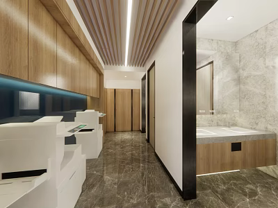 Modern Public Toilet Interior With Wooden Cabinets Marble Walls And Washbasins 3d model