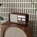 Vintage Radio On Wooden Cabinet With Lattice Wall And Green Plant