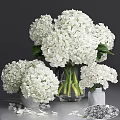 Fresh White Hydrangea Flowers In Glass And Ceramic Vases With Green Leaves