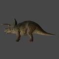 Realistic Triceratops Dinosaur Model With Large Horns Frill And Open Mouth