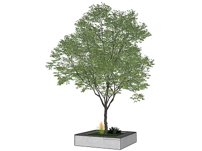 Lush Green Arbor With Square Concrete Planter And Fresh Outdoor Foliage 3d model