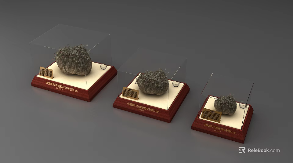 Three Rockery Stones Displayed in Transparent Cases with Red Wooden Bases and Golden Nameplates 3d model 