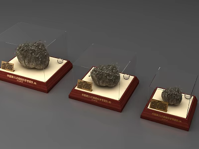 Three Rockery Stones Displayed in Transparent Cases with Red Wooden Bases and Golden Nameplates 3d model