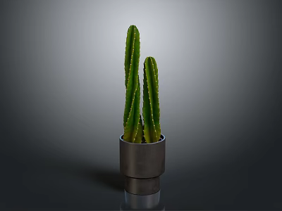Green Cactus Plant With Upright Stems In Metallic Silver Pot On Minimalist Gray Background 3d model