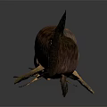 Slender Spotted Freshwater Fish 3D Rendered with Detailed Texture as Aquatic Animal