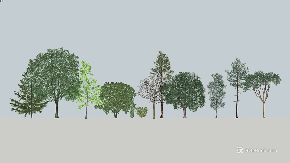Diverse Arbor Trees With Various Foliage And Tall Trunks In Landscape 3d model