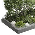 Lush Green Trees in Modern Rectangular Planter with Surrounding Shrubs and Decorative Stones 3d model