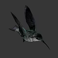 Colorful Hummingbird Flying With Spread Wings In Natural Outdoor Scene
