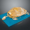 Detailed Turtle Skeleton Model Featuring Yellow Shell On Blue Display Base