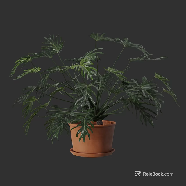 Lush Potted Plant with Feathery Green Leaves in Terracotta Pot for Indoor Decor 3d model 