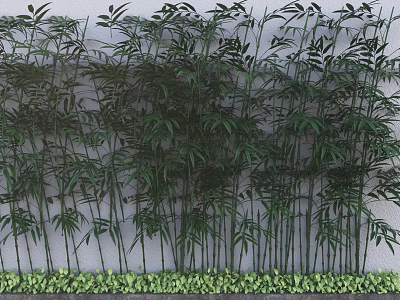 Lush Decorative Bamboo Plants Against White Wall With Green Foliage 3d model