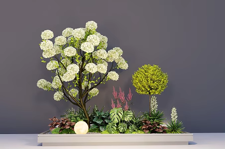 Plant Combination Flower Box Bonsai Chinese Wood Hydrangea Flower Box Green Plant Group 3d model