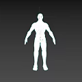 Detailed 3D Rendered Man Full Body Anatomical Model on Gray Background
