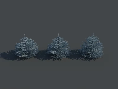 Three Pine Trees with White Coating on Gray Background with Shadows 3d model