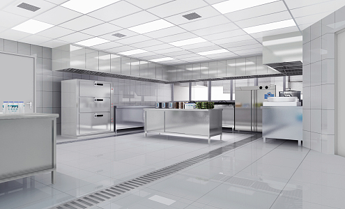 Modern Back Kitchen Hotel Central Kitchen Back Kitchen 3d model