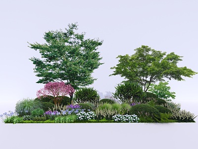 Modern Shrub Flower Border Plant Group Ornamental Flowers and Plants model