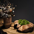 Green Moss Clusters On Wooden Slab With Dried Plants In Wooden Vase