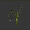Natural Scenery of Brown Soil and Green Plant with Long Leaves and Small Blue Object