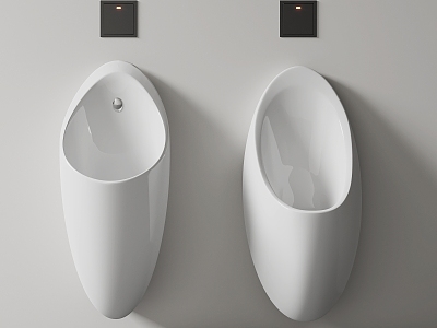 Modern urinal model