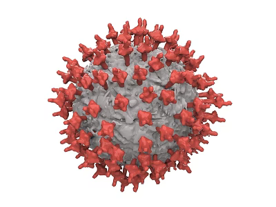 Virus 3d model
