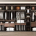 Contemporary Organized Wardrobe Interior With Hanging Apparel Folded Linens And Storage Bins