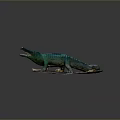 Crocodile Alligator Nile Crocodile carnivore reptile cold-blooded animal reptile 3d model