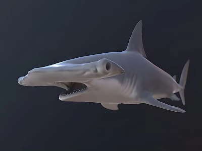 Realistic Hammerhead Shark Swimming With Open Mouth In Dark Ocean Background 3d model