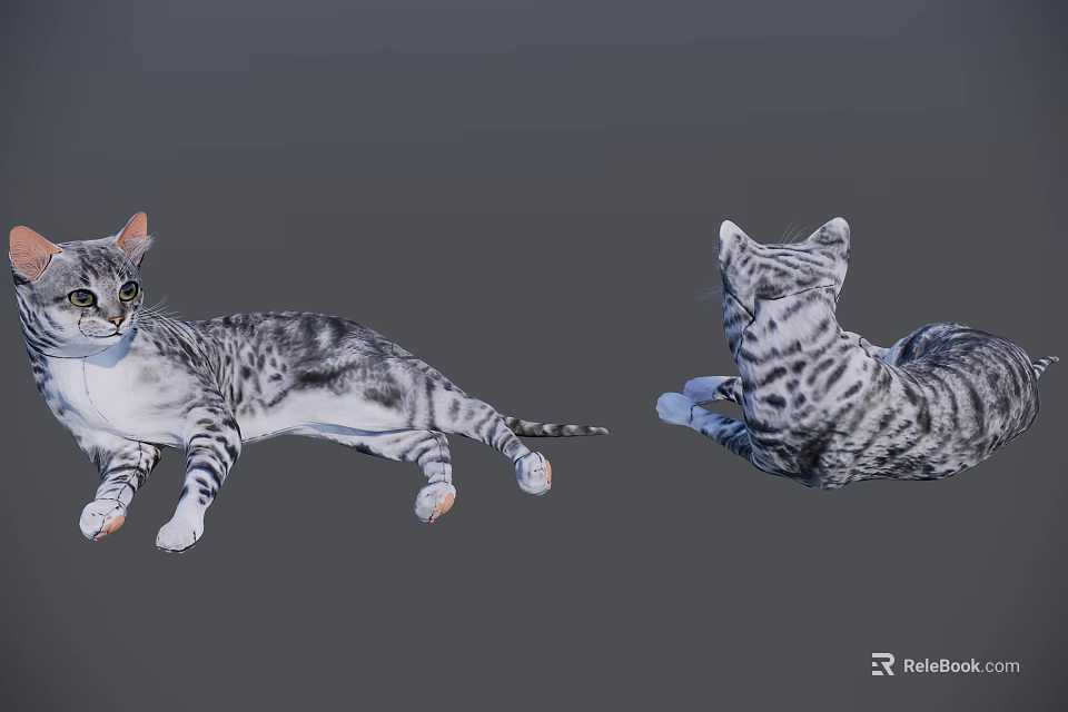 Two Gray Striped Reptiles Lying On Gray Background Different Angles 3d model 