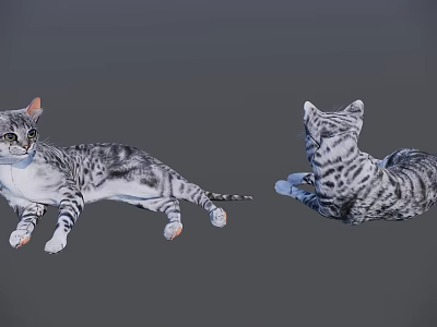 Two Gray Striped Reptiles Lying On Gray Background Different Angles 3d model