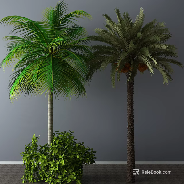 Two Arbor Trees With Green And Darker Leaves Different Trunks And Surrounding Green Shrubs 3d model 
