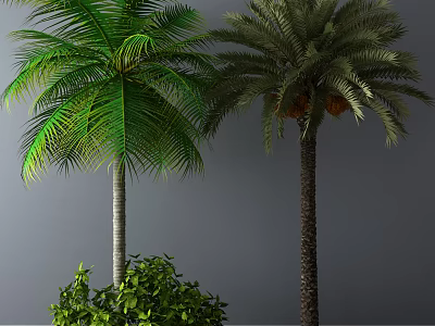 Two Arbor Trees With Green And Darker Leaves Different Trunks And Surrounding Green Shrubs 3d model