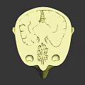 Detailed Anatomical Model Of Human Head Organs Hair Brain And Skull