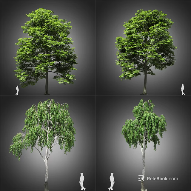 Diverse Arbor Varieties Featuring Lush Foliage And Human Figure For Scale 3d model 