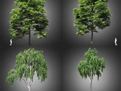 Diverse Arbor Varieties Featuring Lush Foliage And Human Figure For Scale 3d model
