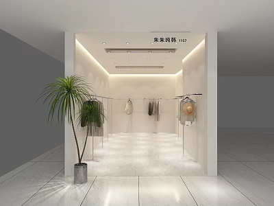 Modern Clothing Store Interior With Bright Lighting Hanging Clothes Hats And Green Plants 3d model