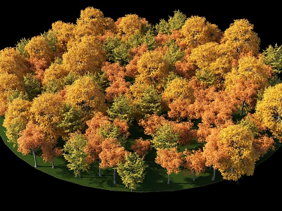 Lush Autumn Tree Combination With Yellow Orange Green Foliage Circular Arrangement 3d model