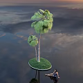 Two Tall Palm Trees Standing On Small Island With Sunset Over Calm Water Reflection
