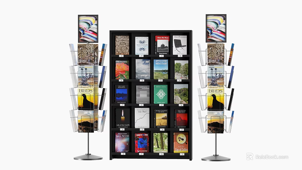 Organized Display Shelf with Multiple Magazines and Side Poster Display Racks 3d model 