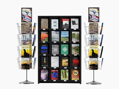 Organized Display Shelf with Multiple Magazines and Side Poster Display Racks 3d model