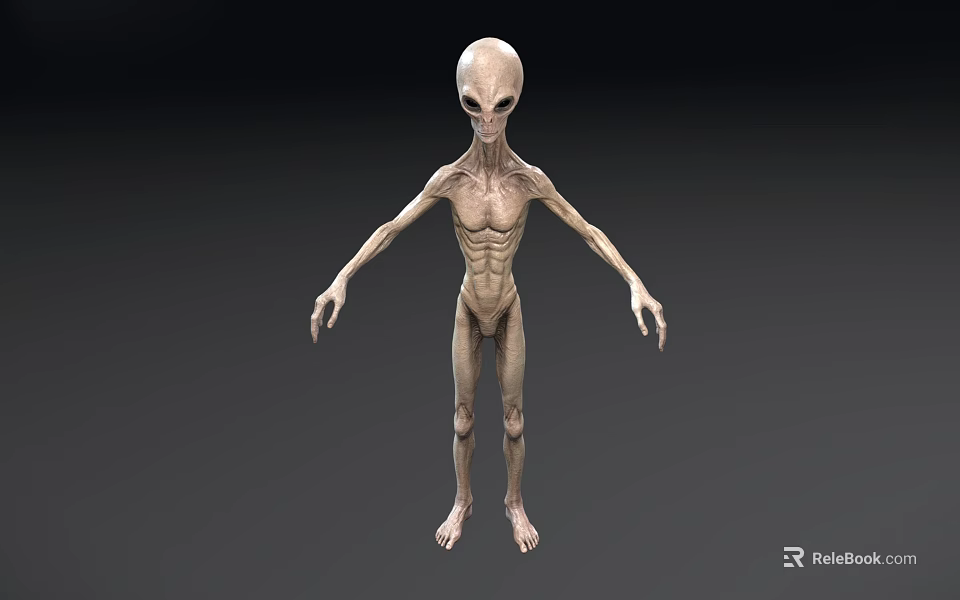 Gray Humanoid Alien Creature 3D Model With Thin Limbs And Large Eyes 3d model 